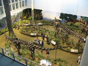 Carnegie Dinosaurs